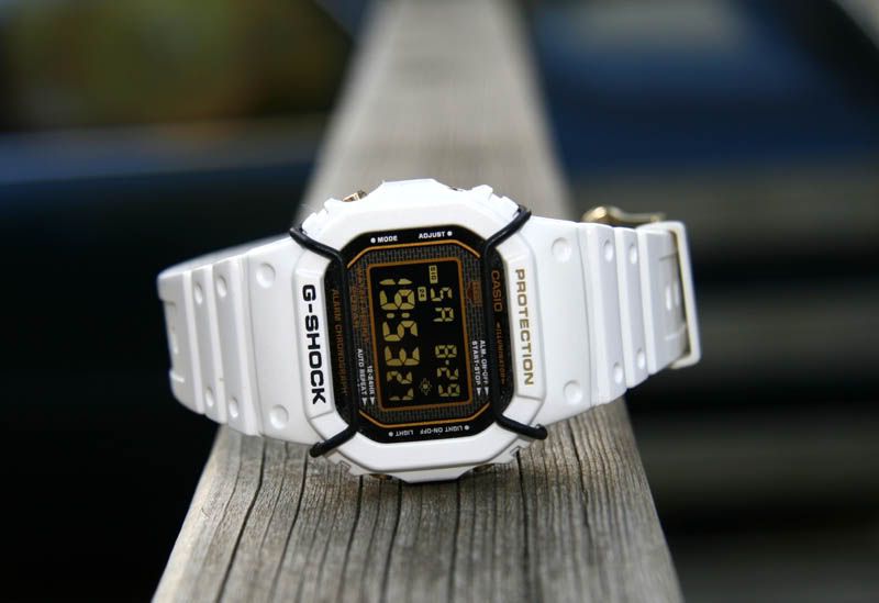 casio bull bars